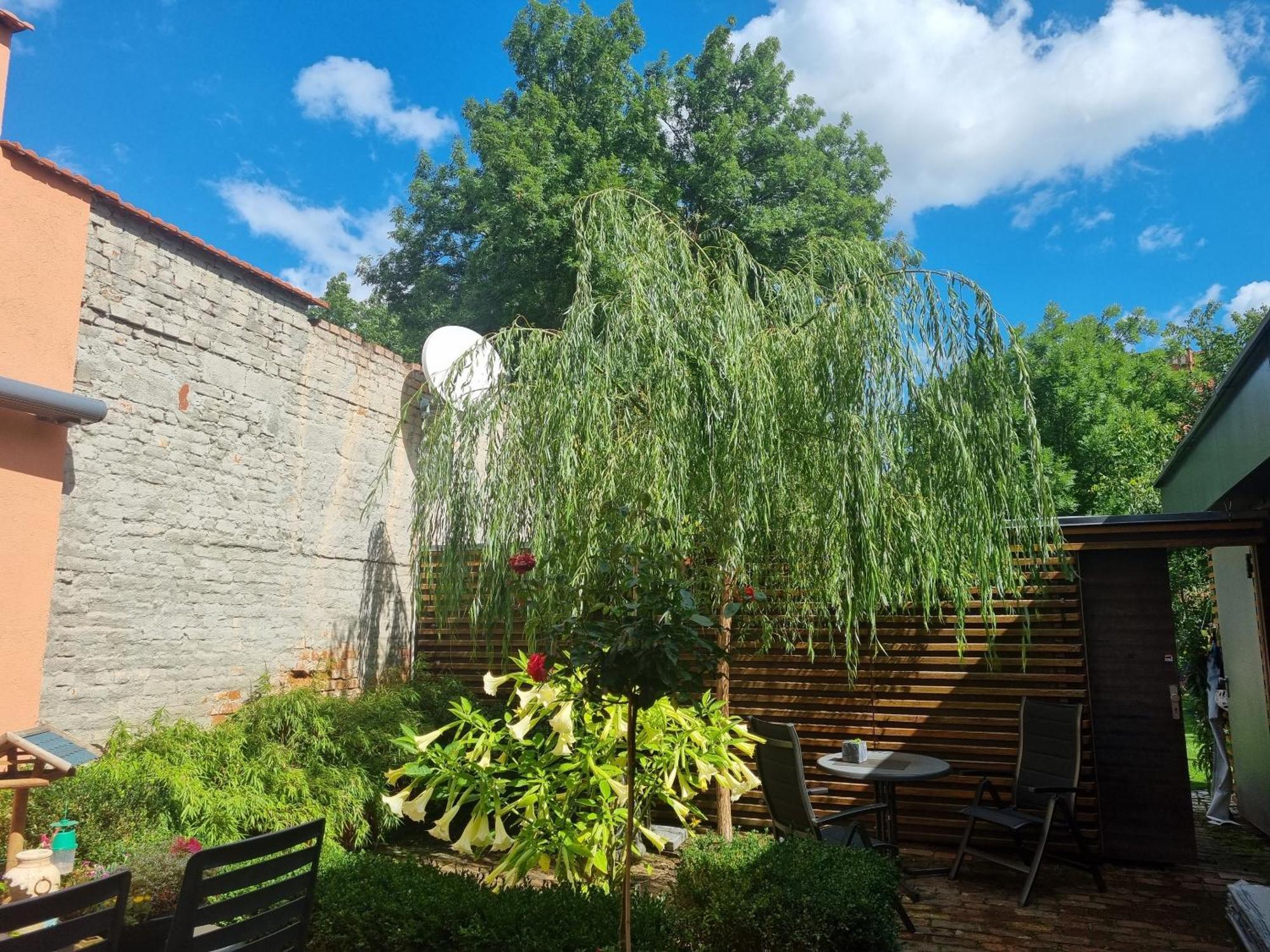 Apartments Junger-Moritz Ерфурт Номер фото